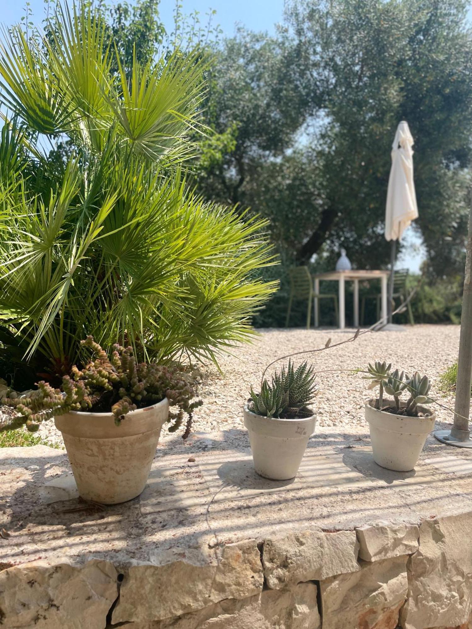Casa Della Scrittrice Ostuni Quarto foto