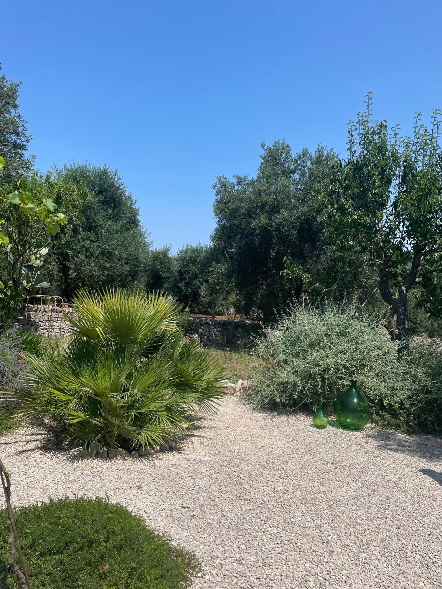 Casa Della Scrittrice Ostuni Quarto foto